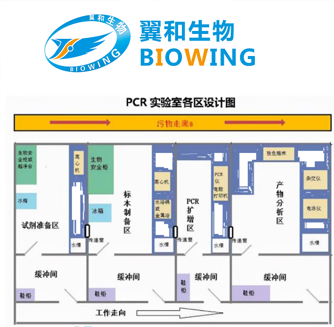 國內(nèi)SPF大鼠小鼠病原菌和病毒檢測標(biāo)準(zhǔn)和檢測方法