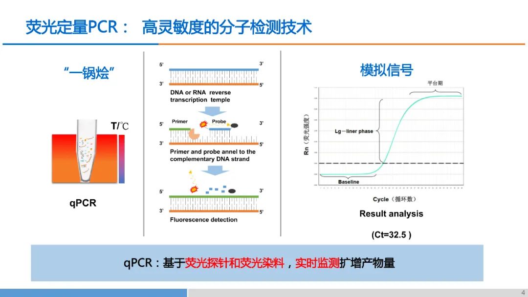 熒光定量PCR.jpg