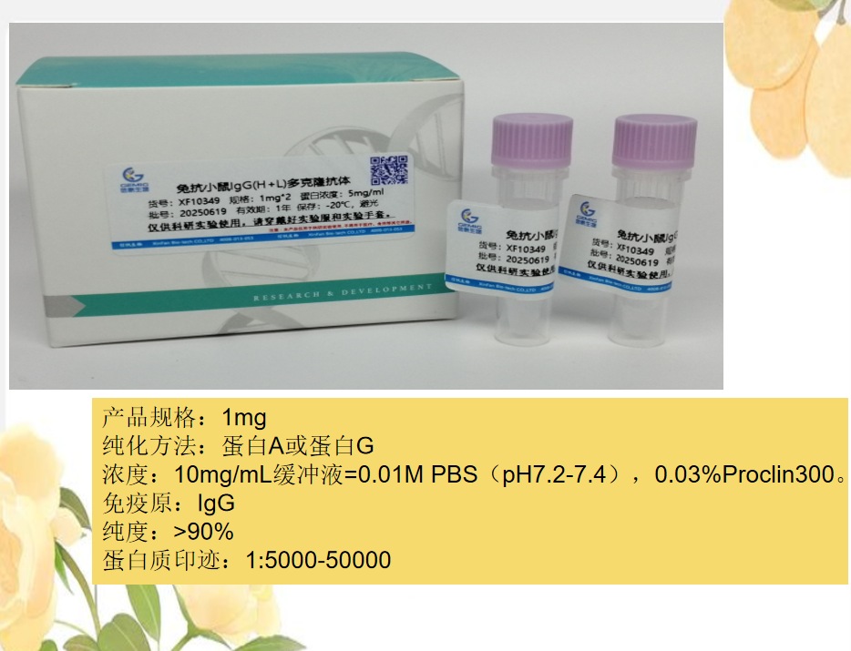 兔抗小鼠igg的使用