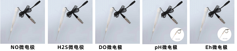 微電極樣式.jpg