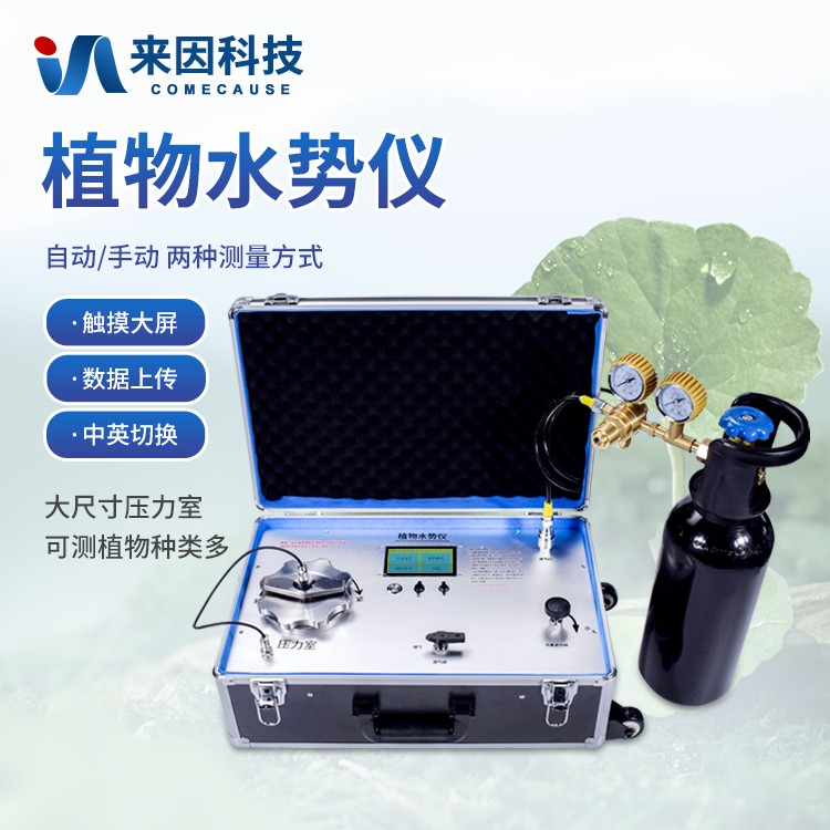 植物压力室背后的生态叙事：解读植物的生存智慧