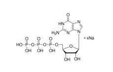 鳥苷-5'-三磷酸三鈉鹽的生物活性是什么