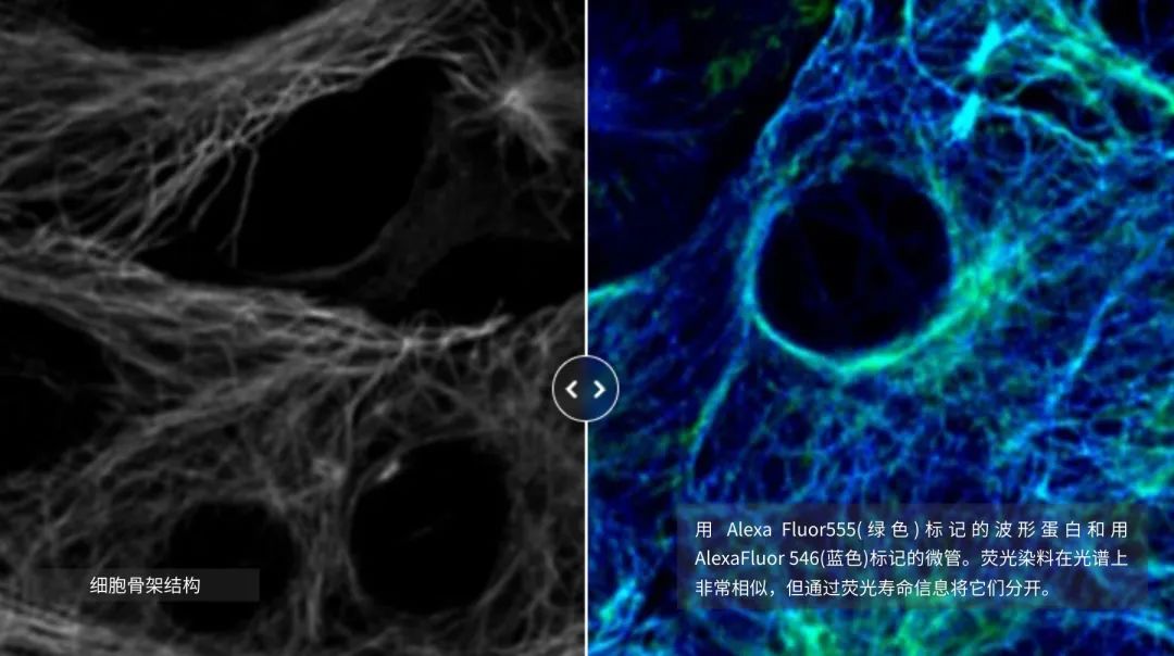探索分離具有重疊光譜的熒光團(tuán)的創(chuàng)新技術(shù)