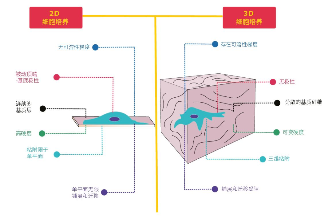開學(xué)季科研裝備升級(jí)！細(xì)胞培養(yǎng)新品鉅惠來襲，省時(shí)、省力還省錢