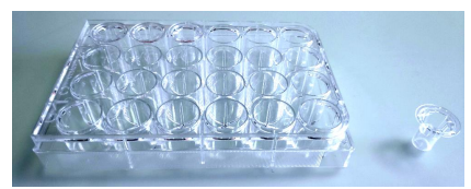 Epithelix 公司 AlveolAir™模型实用指南（2025 版）