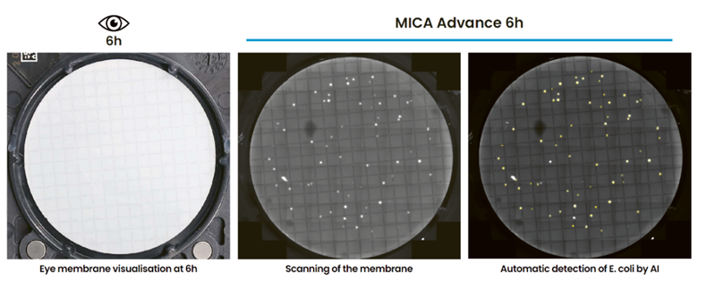 d7415697286b9ba064634ee12587dd58.png 进博前瞻 | 现代水务进博会参展仪器速览