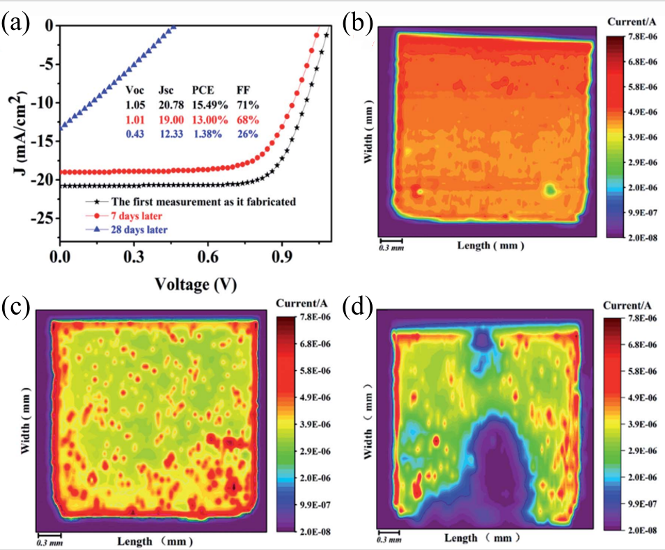 扫描光电流成像系统应用