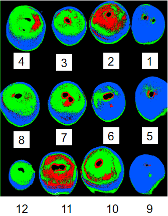 高光谱成像技术：食品行业的“火眼金睛”