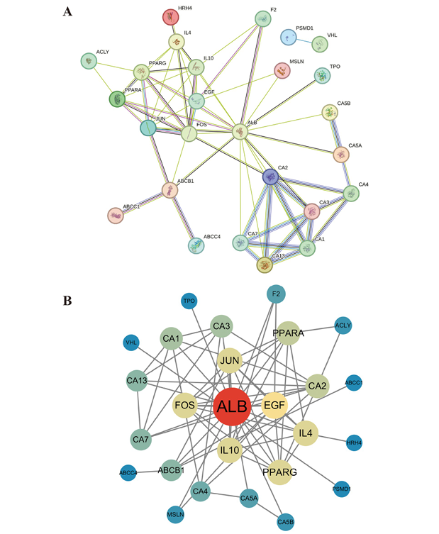 6389811909027227731573194