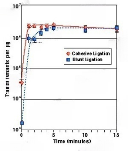 NEB DNA連接酶 -重組T4 DNA連接酶、T4快速連接酶、T7 DNA連接酶