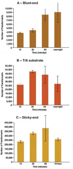 NEB DNA連接酶 -重組T4 DNA連接酶、T4快速連接酶、T7 DNA連接酶