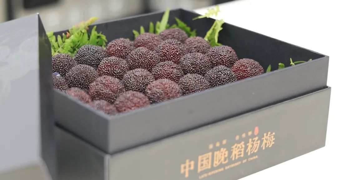 解密楊梅智慧鎖鮮新方案，舟山農業科技論壇圓滿舉辦