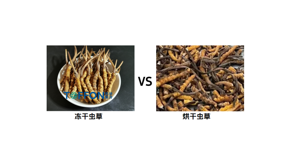 94be2797-4f08-494f-a3a2-25ead40c2e5c