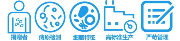 LONZA原代人主动脉内皮细胞HAEC, Human Aortic Endothelial Cells产品介绍