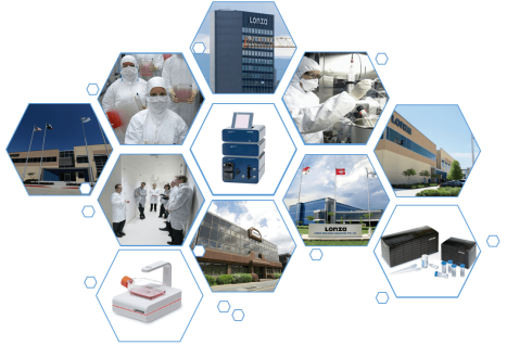 image.png LONZA原代人小氣道上皮細胞HSAEC 產品介紹