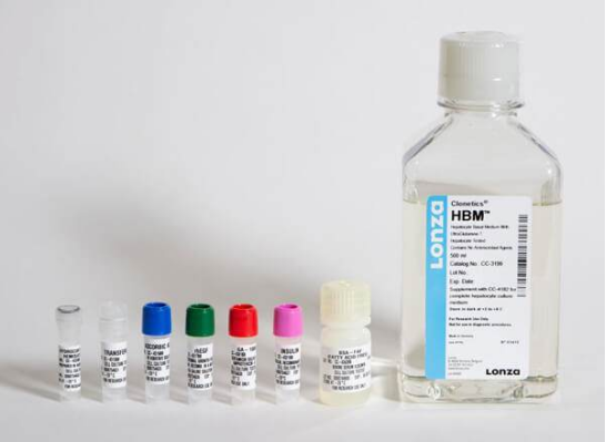 Lonza人原代肝脏细胞、肝脏非实质细胞Human Hepatocytes产品介绍