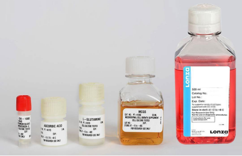 Lonza人牙髓干細胞和培養基?Dental Pulp Stem Cell產品介紹