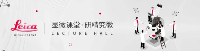 显微课堂 | 利用快速高对比度成像改进斑马鱼-胚胎筛查