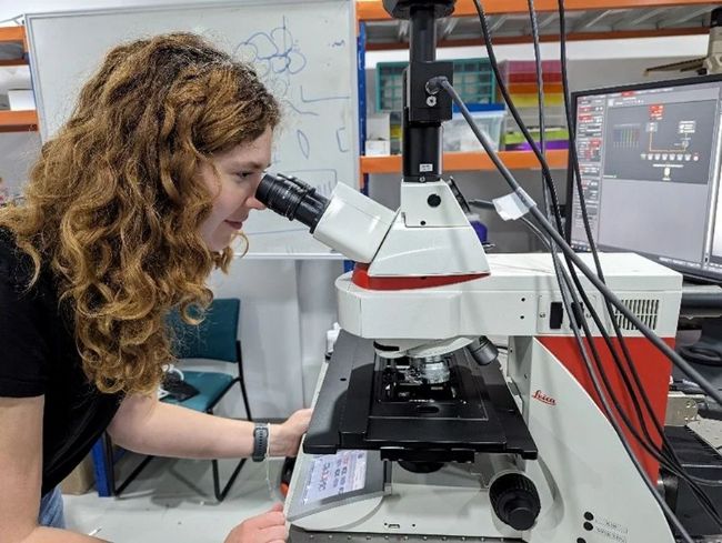 显微课堂 | 利用快速高对比度成像改进斑马鱼-胚胎筛查