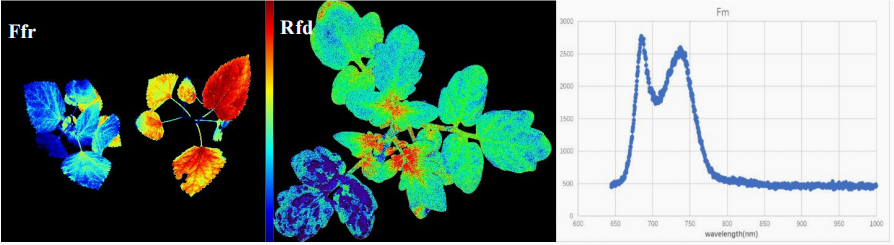 易科泰再次榮登生態(tài)大講堂，分析生態(tài)觀測(cè)新技術(shù)、新方案