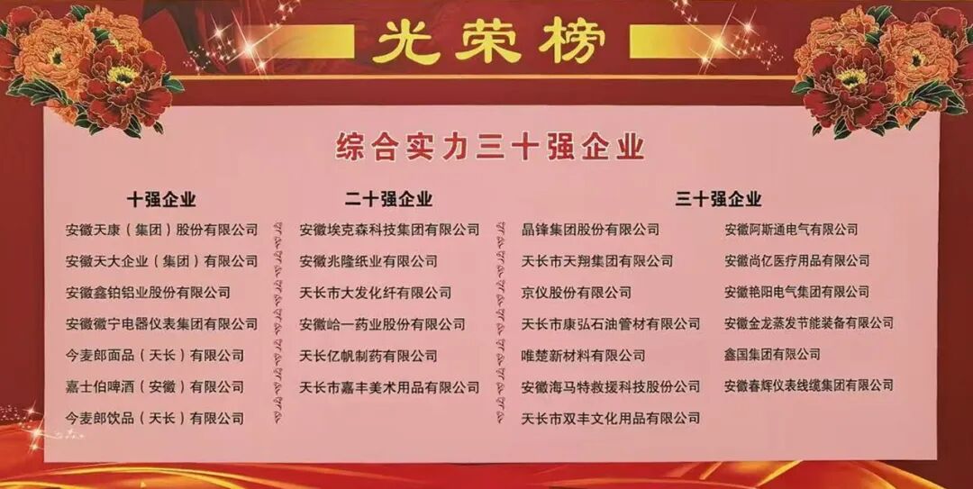 安徽天康集团荣膺天长市“双十弓虽”企业称号