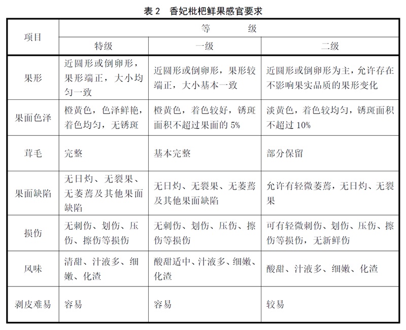 表2.jpg