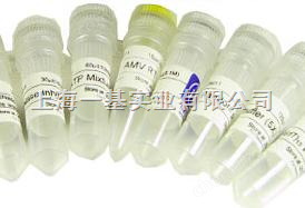 CAS:39831-55-5-O-3-氨基-3-脫氧-alpha-D-葡吡喃糖基-（1→6）-O-[（6-氨基-6-脫氧-alph