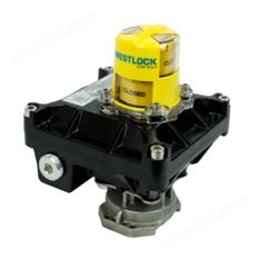 用户直接向 AI 提问