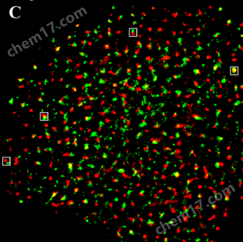TIRF照明STORM超分辨顯微鏡