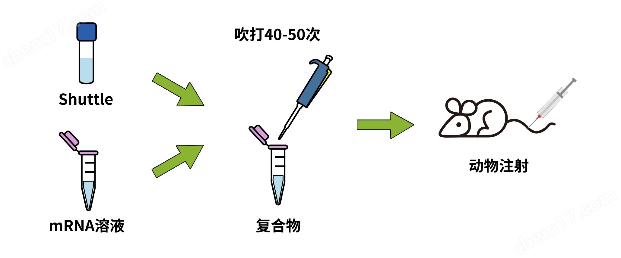 EZ LNP in vivo體內(nèi)轉(zhuǎn)染試劑（肝）