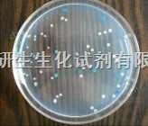 V-P 試劑盒