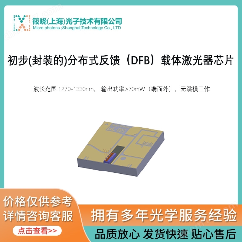 初步(封裝的)分布式反饋（DFB）載體激光器芯片