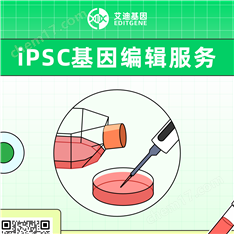 iPSC基因編輯