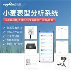 麥穗形態(tài)測(cè)量?jī)x