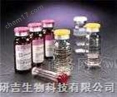 MMP-25/MT6-MMP 酶聯(lián)免疫試劑盒