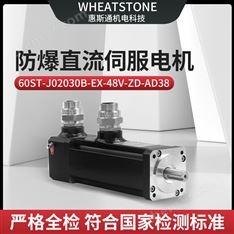 防爆直流伺服電機(jī)
