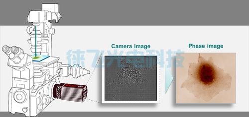 细胞定量相位分析仪 SID4-Bio