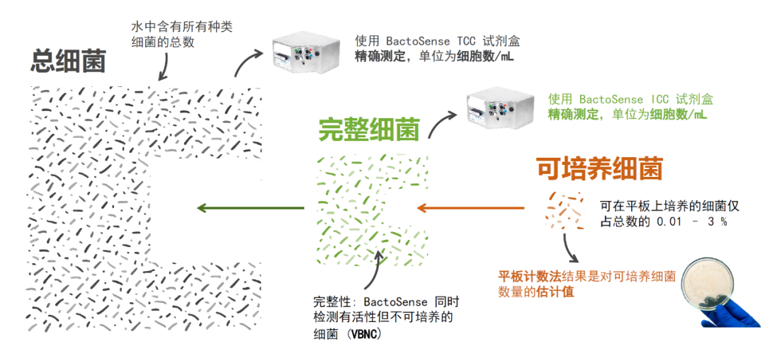 BactoSense 微生物检测在线监测系统