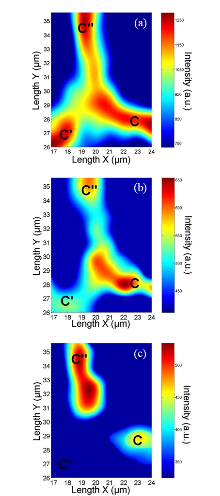 电镜拉曼联用系统