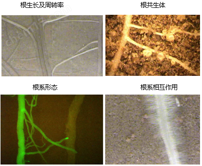 圖片7.png AZR-300TF復(fù)合根系熒光監(jiān)測系統(tǒng)